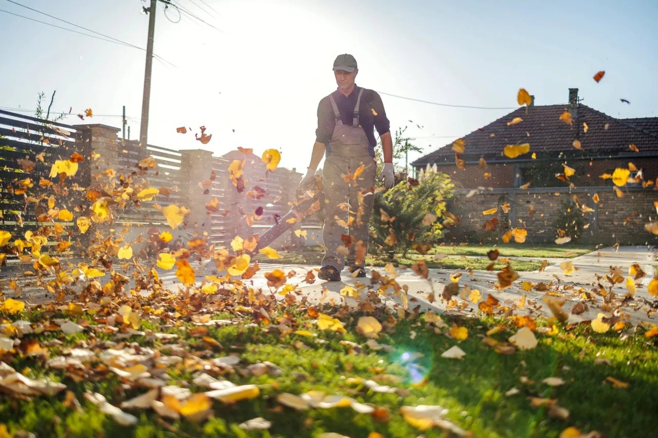 Seasonal Cleanup