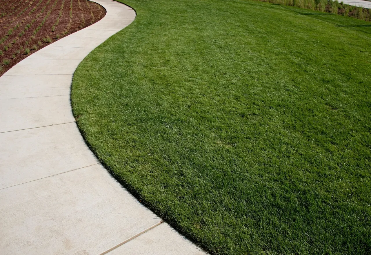 Edging & Trimming